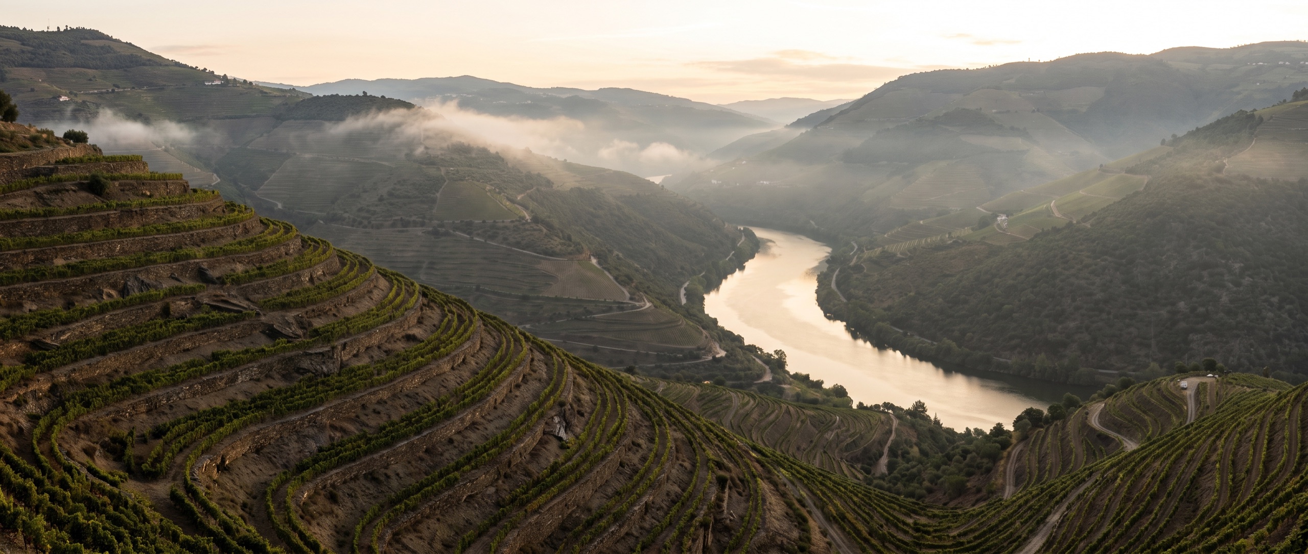 Socalcos de xisto da Quinta do Fio ao amanhecer, o rio Douro ao fundo